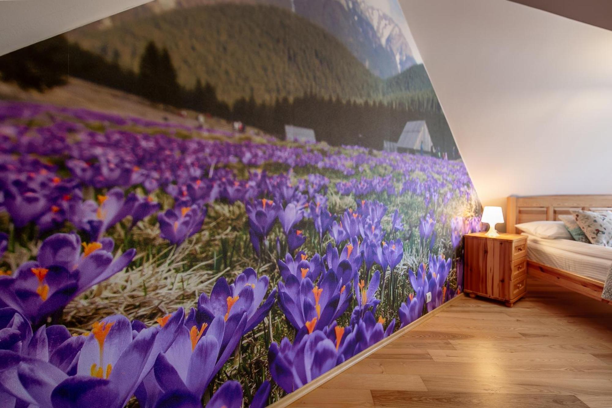 Apartment Dwupoziomowy W Centrum Zakopanego